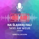 Radio Na Śląskiej Fali Chicago