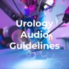 Urology Audio Guidelines