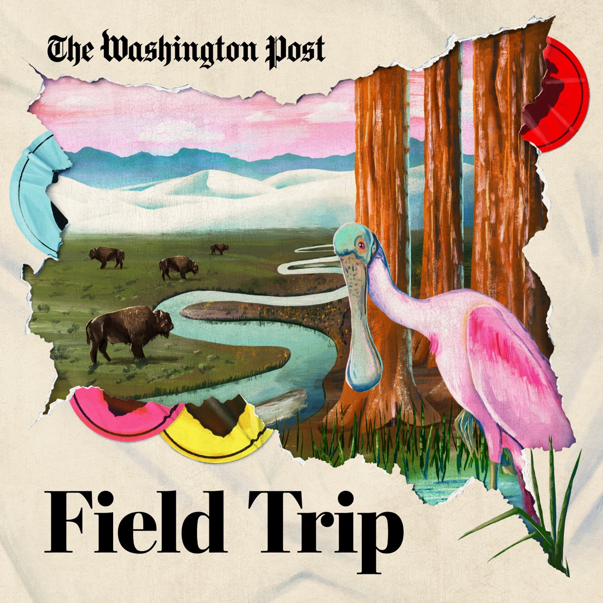 field-trip-american-podcasts