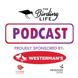 The Birding Life Podcast (Season break) - David Attenborough, England and the RSPB