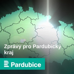 Michal Gabriel rozřezal koně na 300 plátků. Nerezová socha září na louce u pardubického zámku