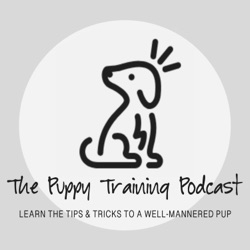 Episode #180 Understanding Puppy Biting: Will My Dog Outgrow It?