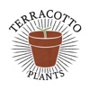 Terracotto Podcast artwork