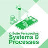 C-Suite Perspective: Systems & Processes artwork