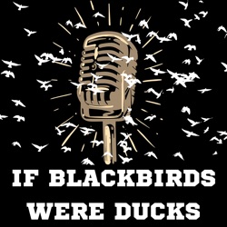 If Blackbirds Were Ducks