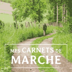 [BANDE ANNONCE] Mes carnets de marche