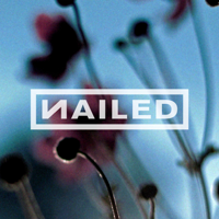 Nailed Interviews Allie Goertz