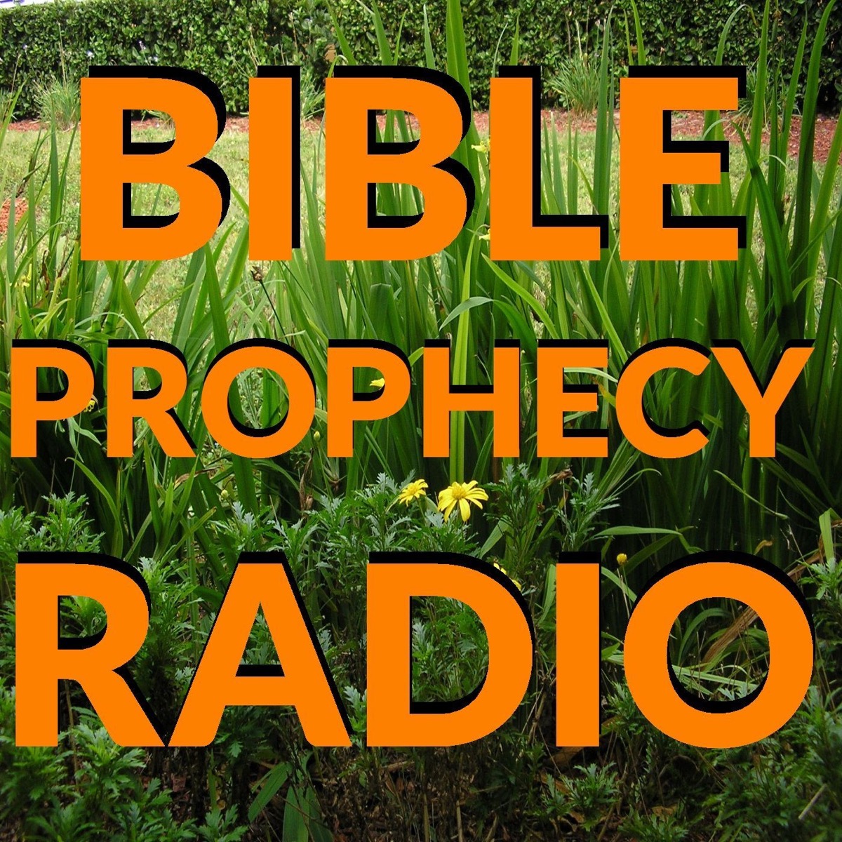 episode-310-babylon-where-is-it-in-the-bible-and-what-does-it-have-to