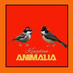 Kingdom: Animalia - A Zoology Podcast for Kids