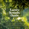 Nature Sounds Oasis | Relaxing Nature Sounds For Sleep, Meditation, Relaxation Or Focus | Sounds Of Nature | Sleep Sounds, Sl