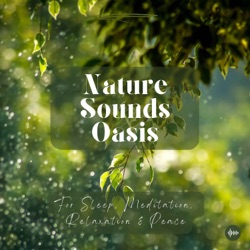 Enchanted Waterfall & Relaxing Music In A Picturesque Forest | Nature Sounds For Sleep, Relaxation, Meditation, Study Or Focus | Sleep Music, Sleep Sounds, Piano, Zen, Música Relajante Para Dormir