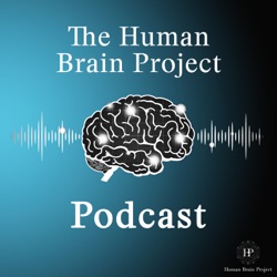 HBP Podcast Ep.2 - Psychedelics and Neuropharmacology: A Conversation with Gitte Moos Knudsen