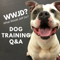 Dog Training Q&A What Would Jeff Do?