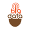 Big Data Beard