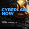 CyberLaw Now