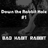 Bad Habit Rabbit artwork