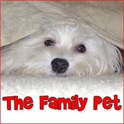 The Family Pet - Pets & Animals on Pet Life Radio (PetLifeRadio.com)