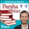 Rabbi Shalom Rosner on The Parsha artwork