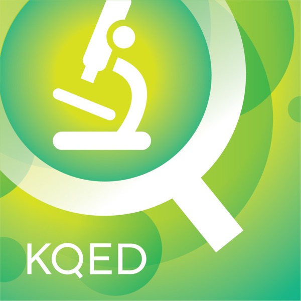 KQED Science Video Podcast