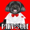 PawVogue with Cuba, America's Top-Dog - Pet Fashion on Pet Life Radio (PetLifeRadio.com) artwork
