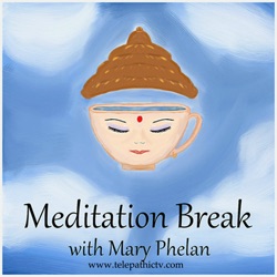 Meditation Break Call - 1-3-14