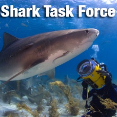 Shark Task Force