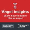 Angel Insights | Your guide to angel investing artwork