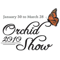100# - What was the inspiration for this year’s show?