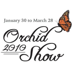 105# - How large is the orchid collection today?