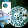 Investigating bacterial communication - for iPod/iPhone artwork