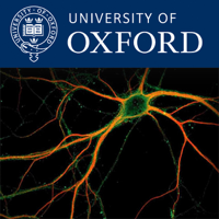 Nuffield Department of Clinical Neurosciences podcast