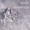 Ninja Mountain Scrolls artwork