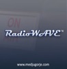 Radio WAVE artwork