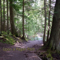 Upon a Pagan Path