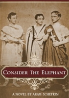 Consider The Elephant podcast