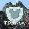 TDR Now Travel Podcast artwork