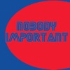 Nobody Important artwork