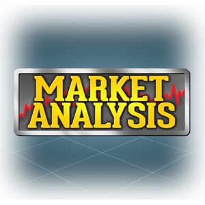 Market Analysis: Elaine Kub