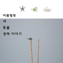 이원영의 새, 동물, 생태 이야기 (시즌 1, 2, 3, 4)