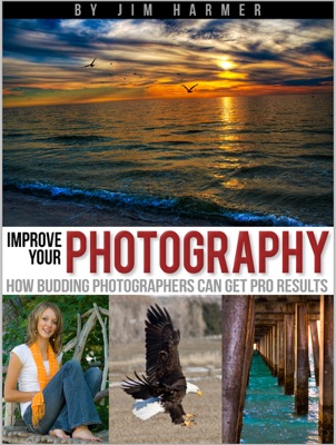 Improve Your Photography: How Budding Photographers Can Get Pro Results