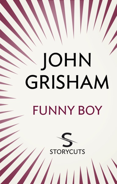 Funny Boy (Storycuts)