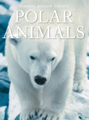 Polar Animals - Snapshot Picture Library