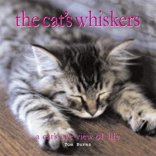 ‎Talking Cats on Apple Books