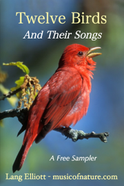 Twelve Birds and Their Songs