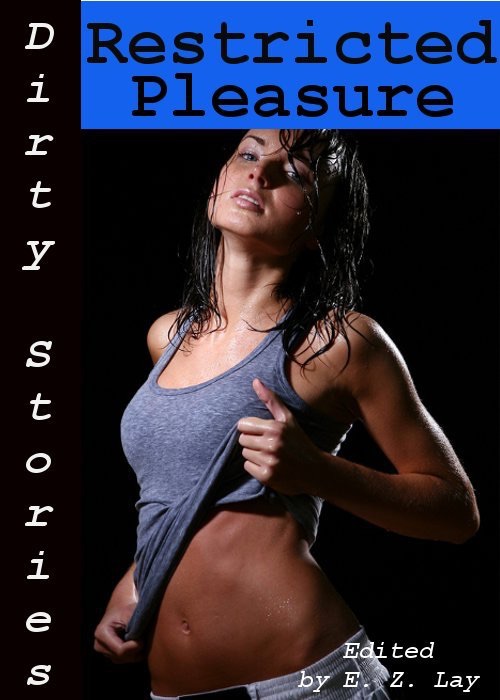 Dirty Stories: Restricted Pleasure, Erotic Tales