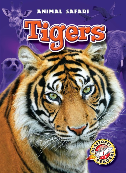 Tigers