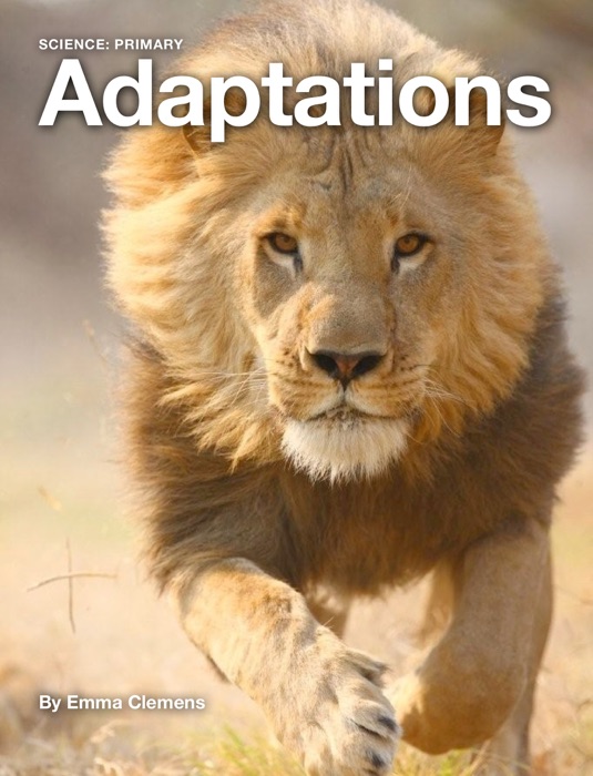 Adaptations