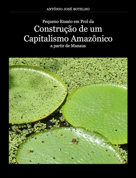 Pequeno Ensaio em Prol da Construção de um Capitalismo Amazônico a partir de Manaus