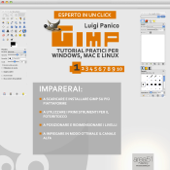 GIMP. Tutorial pratici per Windows, Mac e Linux. Livello 2 - Luigi Panico