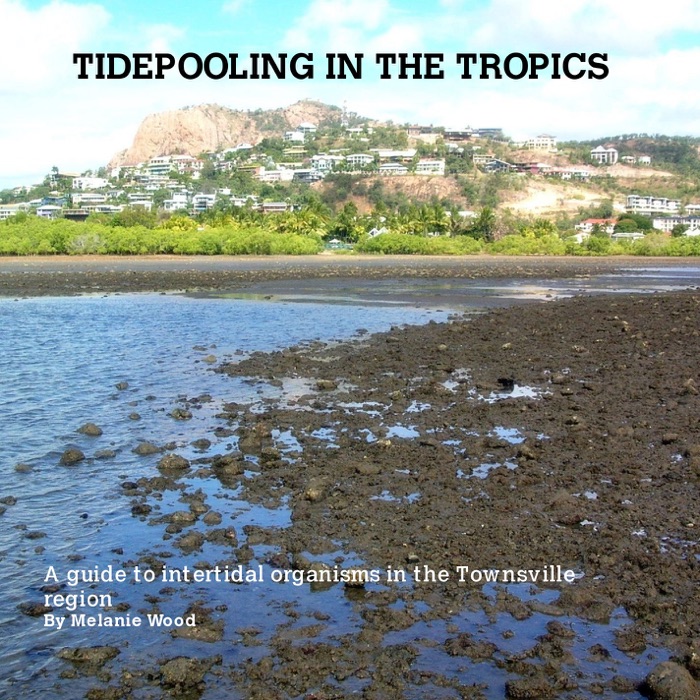 Tidepooling In the Tropics